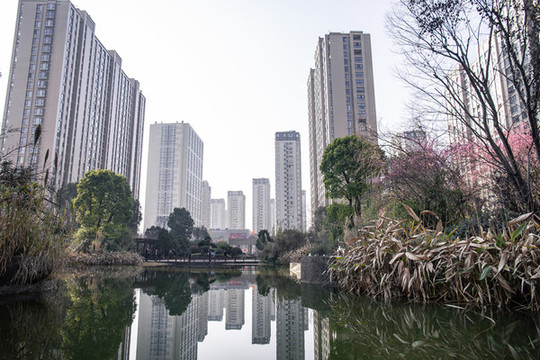 小區(qū)住宅建筑