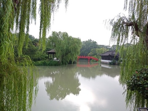楊柳岸