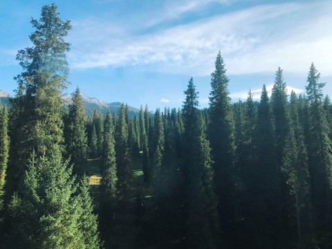 新疆生態(tài)旅游