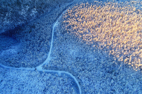 航拍雪色山林山路