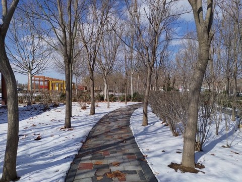 林間小路
