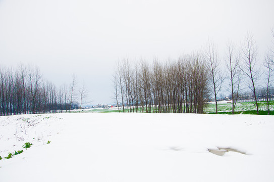 鄉(xiāng)村雪景