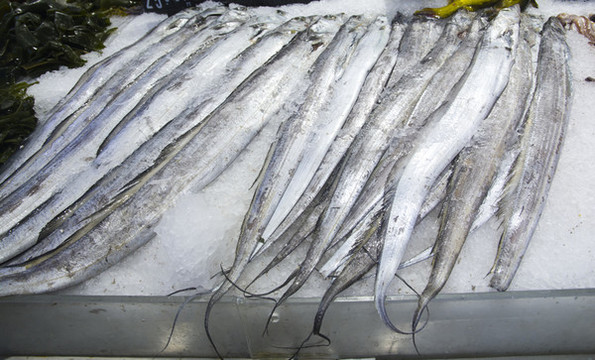 冷鮮刀魚
