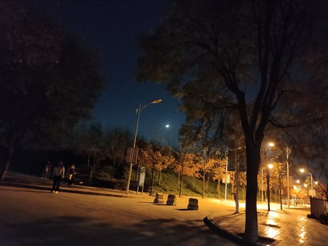 冬夜