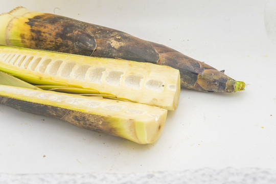 冬筍