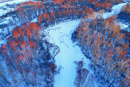 航拍雪原雪河紅柳