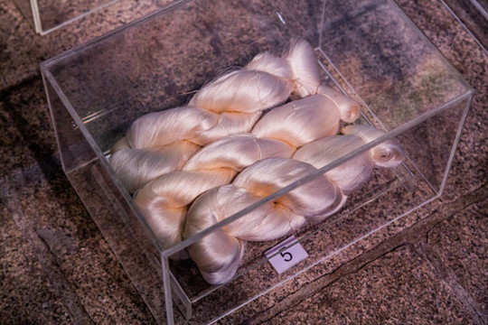 蠶絲