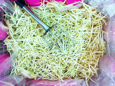 綠豆芽