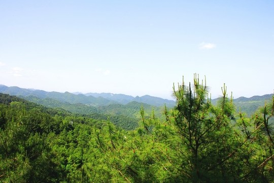賨人谷