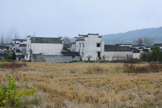 鄉(xiāng)村風(fēng)光