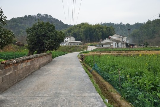 農(nóng)村公路