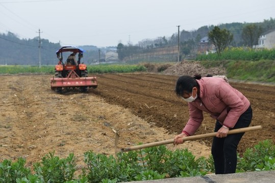 新冠肺炎時期農(nóng)民勞動