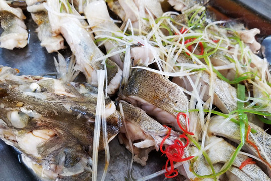 清蒸海鱸魚