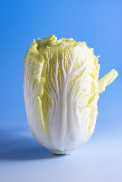 大白菜