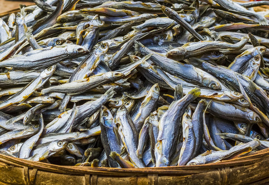 天曬魚(yú)