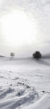雪國(guó)風(fēng)光