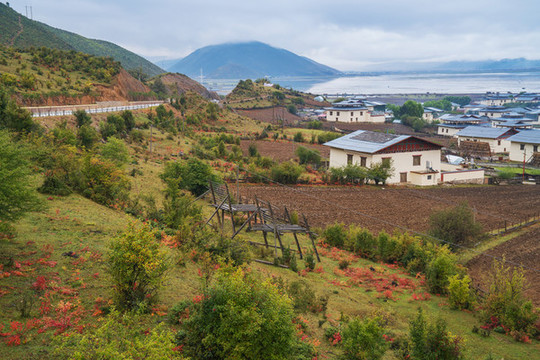 中國云南省納帕海草原旅游風(fēng)光