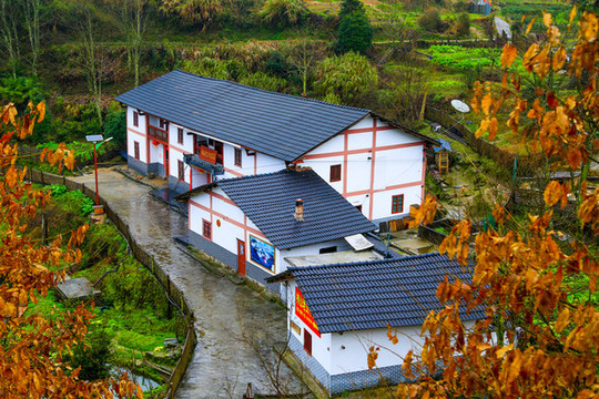 井岡山市茅坪鄉(xiāng)神山村