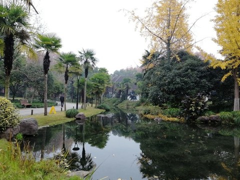 風景如畫