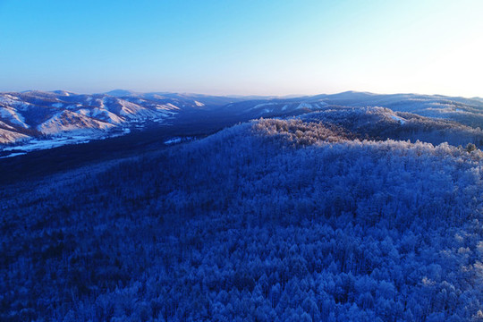 大興安嶺雪色山林