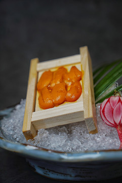 海膽