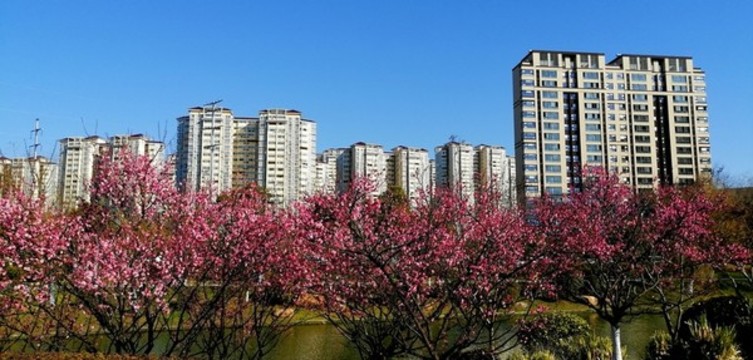 六合風(fēng)光