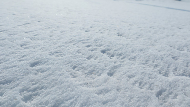 東北雪景