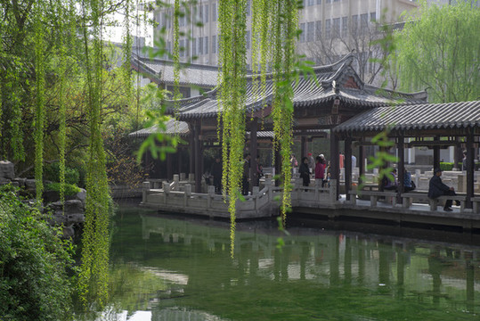 春天的景象