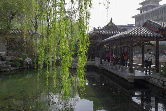 春天的景象