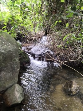 山澗小溪