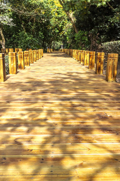 公園木板小路