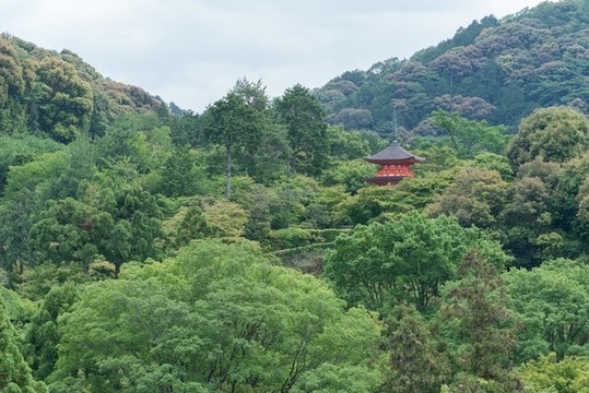 日本京都清水寺