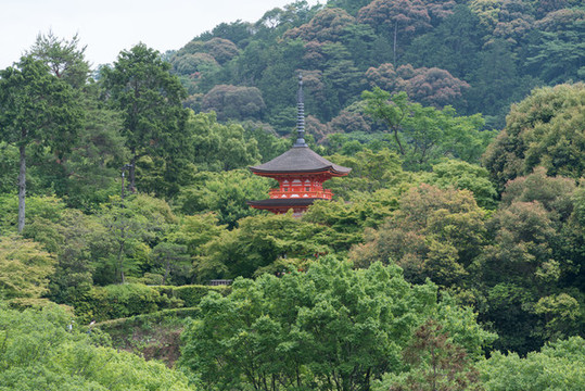 日本京都清水寺