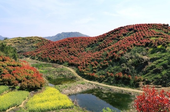 蔣家堰八