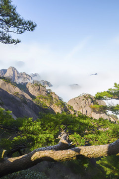 安徽黃山風(fēng)景區(qū)