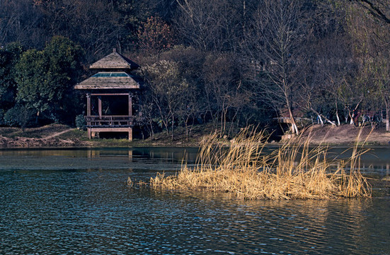 南京琵琶湖