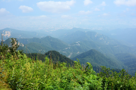 泰山