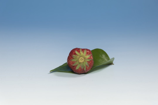 新鮮草莓