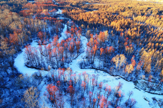 大興安嶺林海雪原雪河紅柳