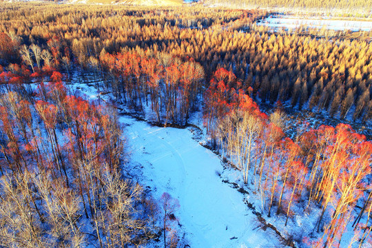 大興安嶺林海雪原雪河紅柳