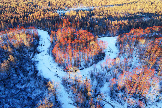 大興安嶺雪原冰封河流紅柳樹林