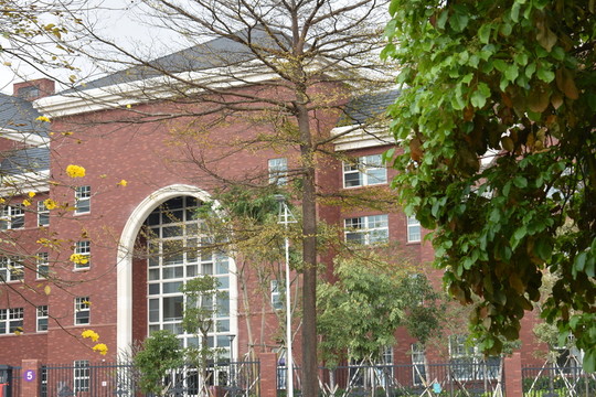 學(xué)校外景