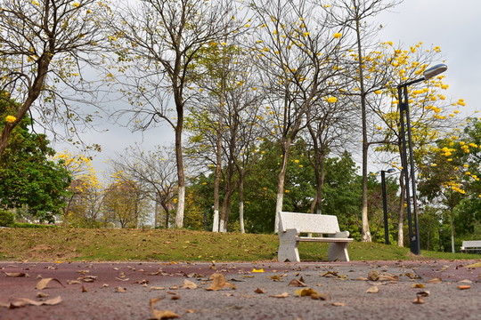 公園