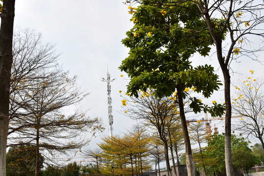 公園