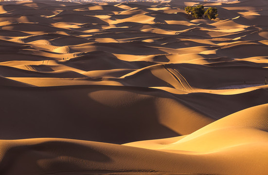 阿拉善沙漠黄昏骆驼太阳光影02