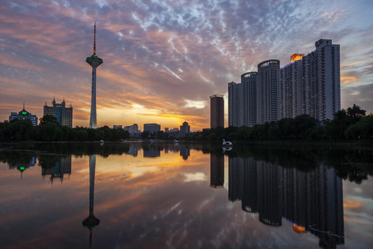 沈陽(yáng)青年公園