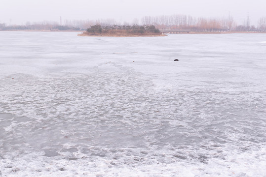 雪