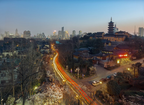 雞鳴寺櫻花大道夜景