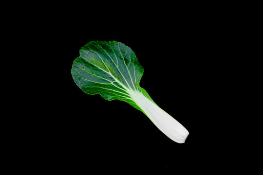 青菜葉子