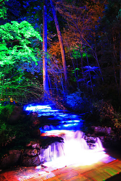 長白山森林小溪燈光夜景